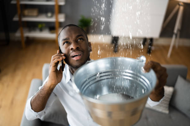 Best Flood damage cleanup  in East Honolulu, HI