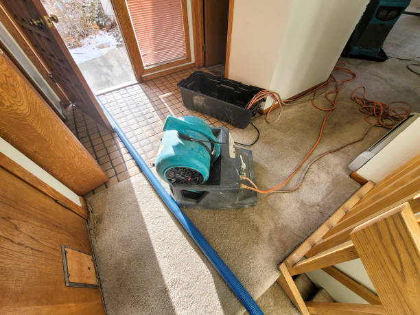 Best Water damage repair service  in East Honolulu, HI