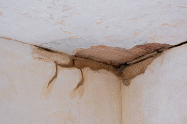 Best Water damage contractors near me  in East Honolulu, HI