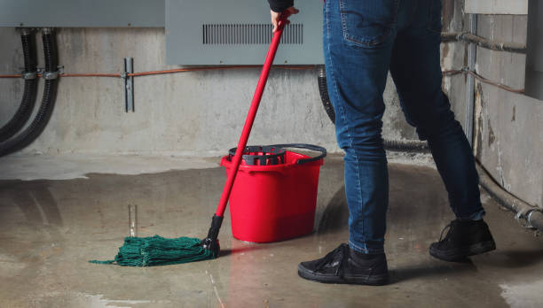 Best Water damage restoration near me  in East Honolulu, HI