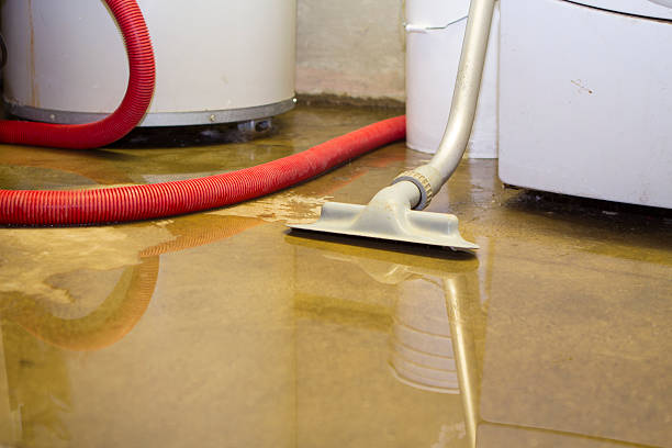 Best Water damage restoration insurance claims  in East Honolulu, HI