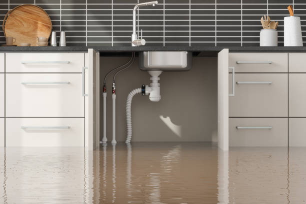 Best Water damage repair service  in East Honolulu, HI