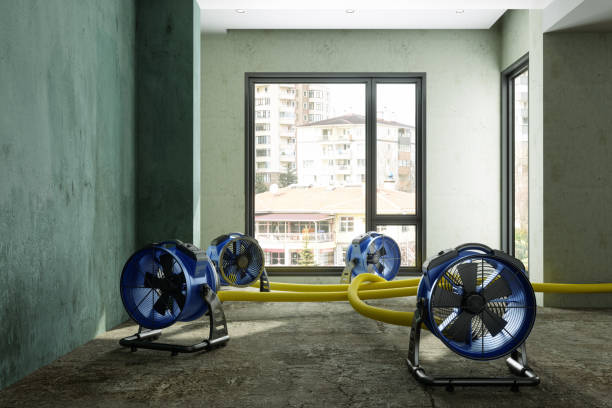  East Honolulu, HI Water damage restoration Pros